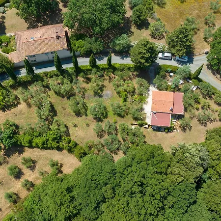 La Poggiolina In Toscana 아파트