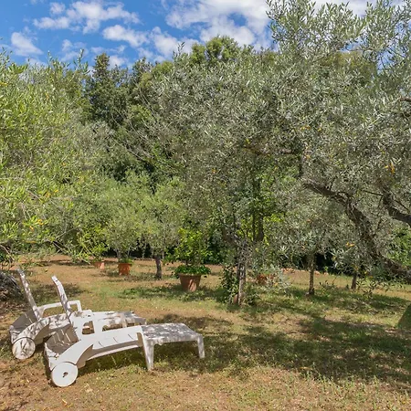 La Poggiolina In Toscana 아파트 구아르디스탈로