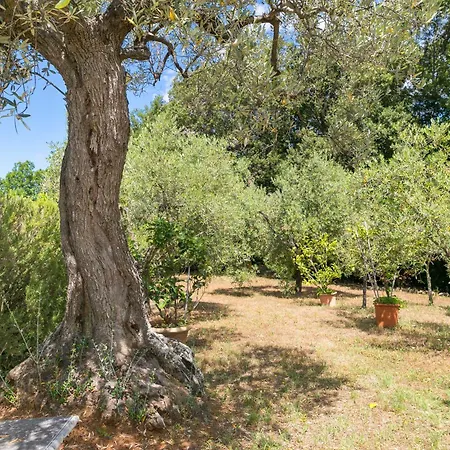 아파트 La Poggiolina In Toscana